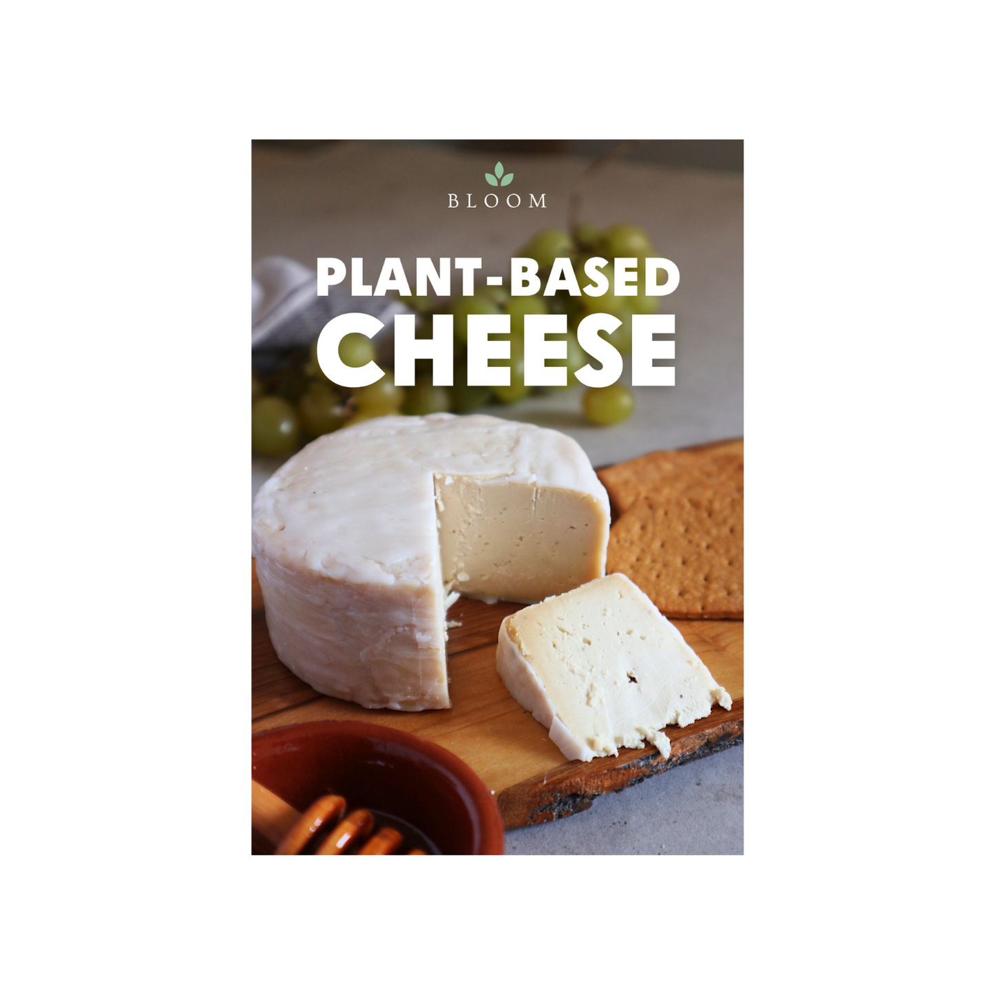 Plant Based Cheese Cookbook