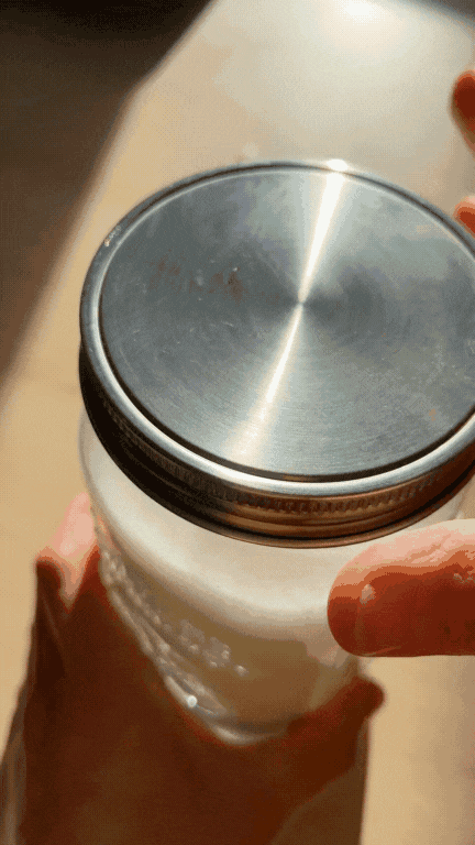 Yogurt Maker Kit