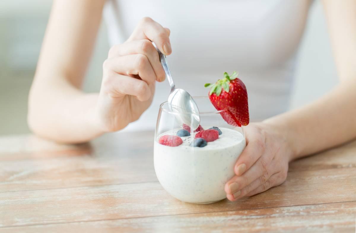 Yogurt Maker Kit