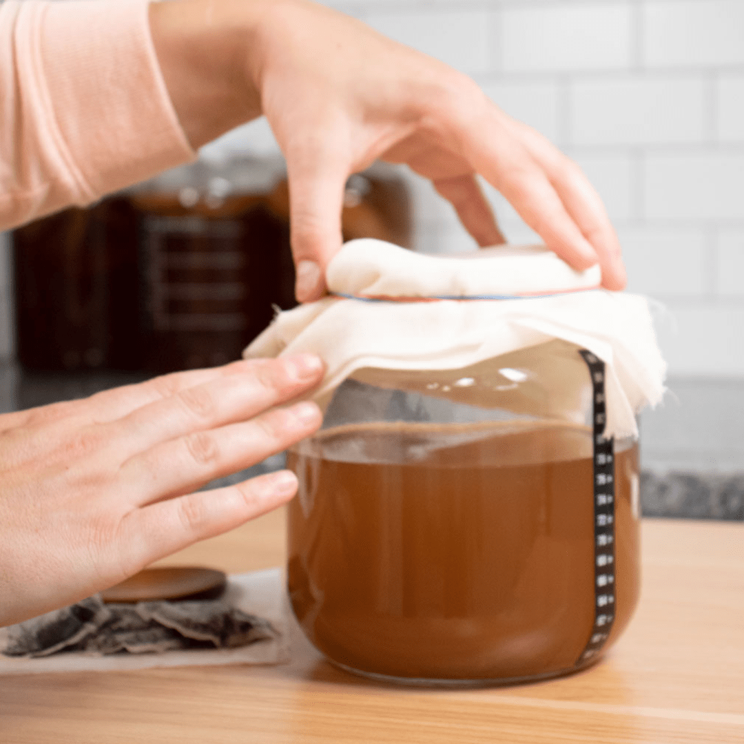 Kombucha Making Starter Kit