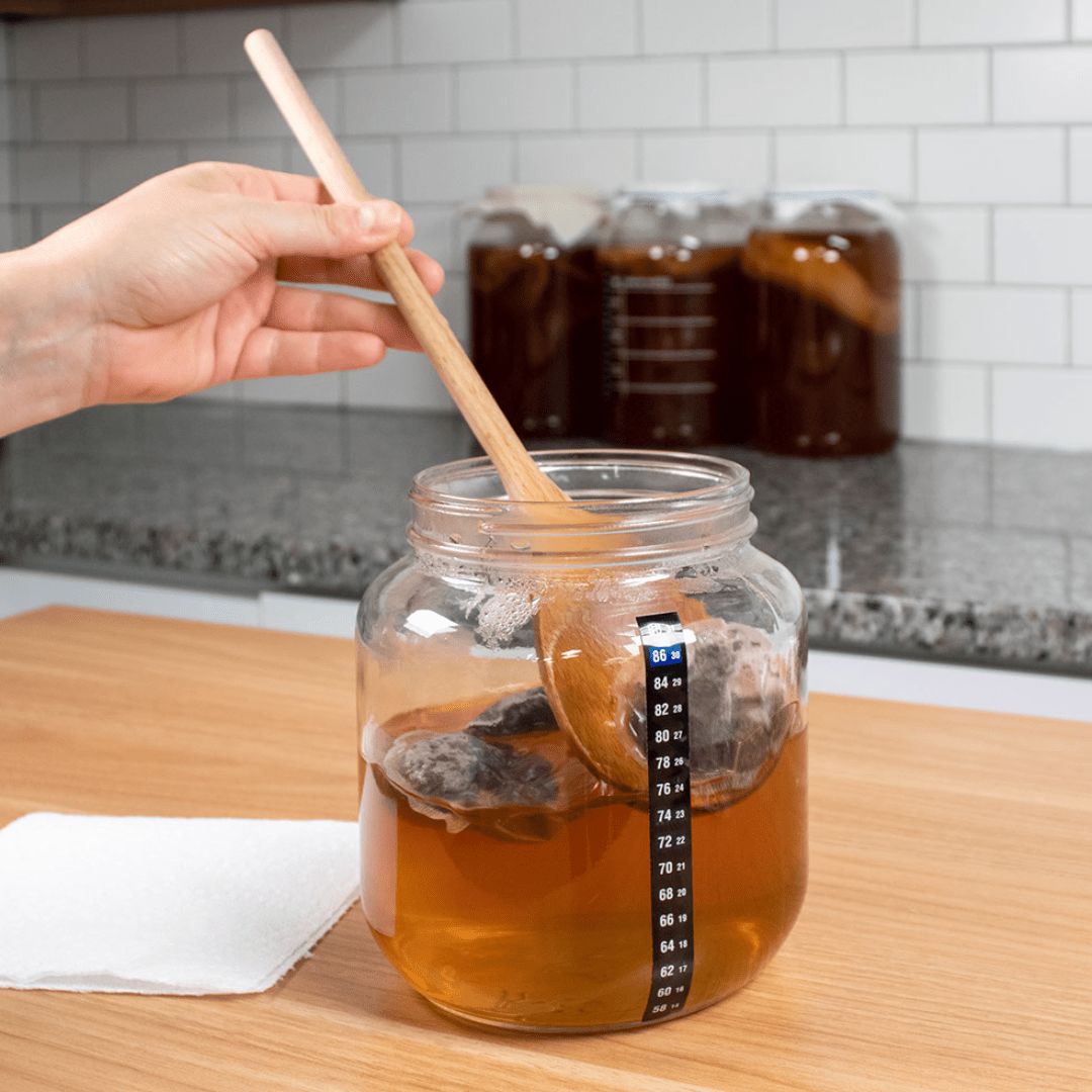 Kombucha Making Starter Kit