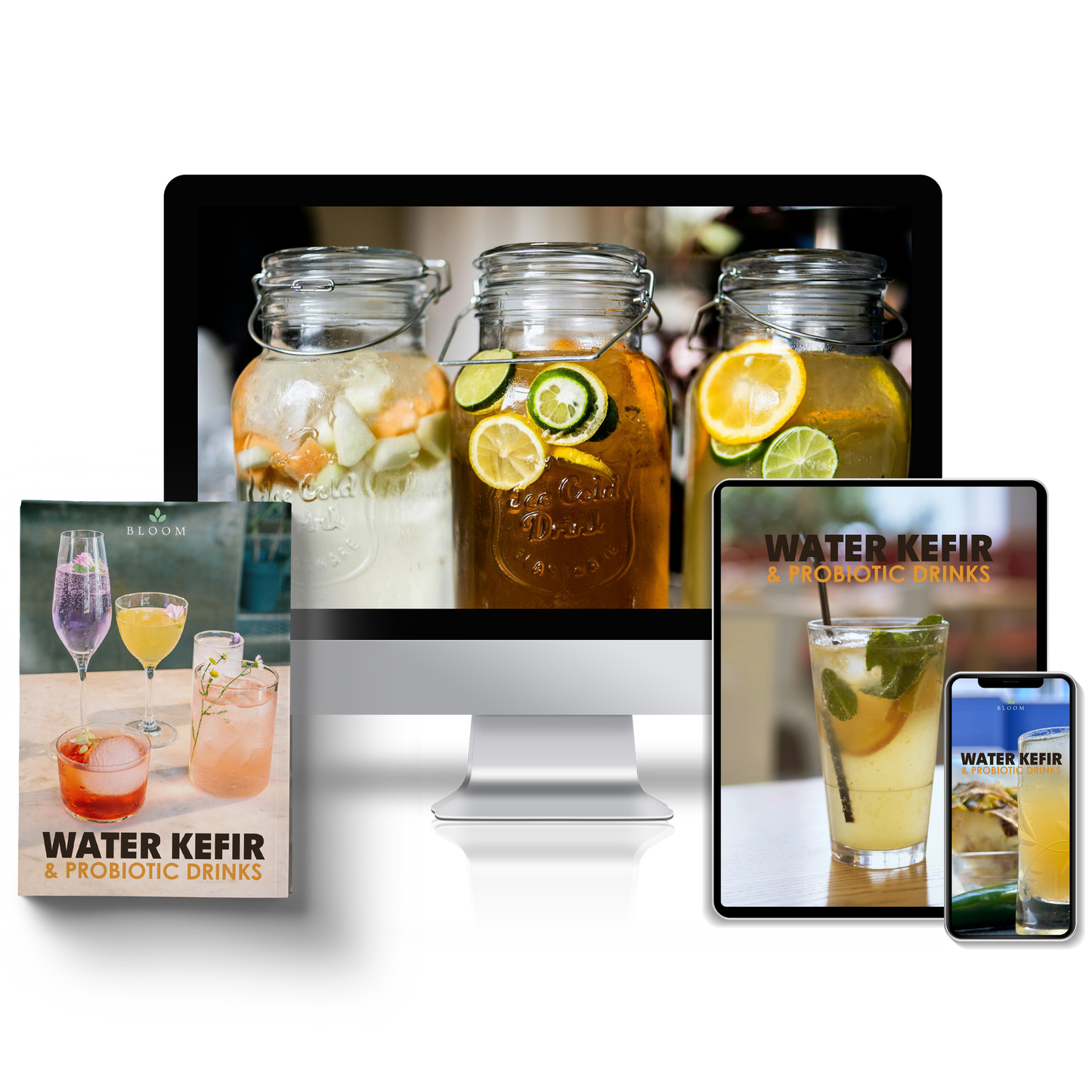 Water Kefir Cookbook