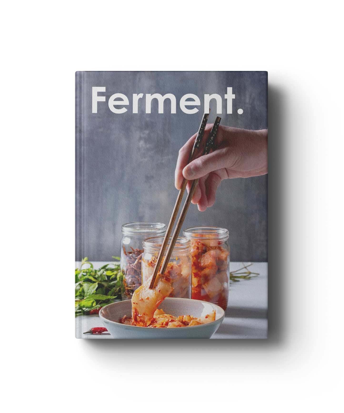 Fermentation Cookbook